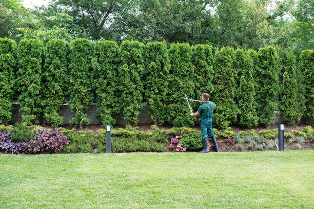 Lawn Maintenance Plans in Harrison, OH